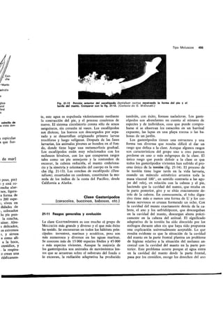 Tema 21