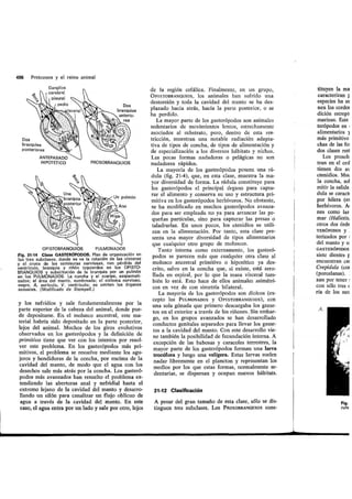 Tema 21