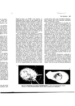 Tema 21