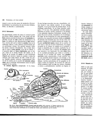 Tema 21