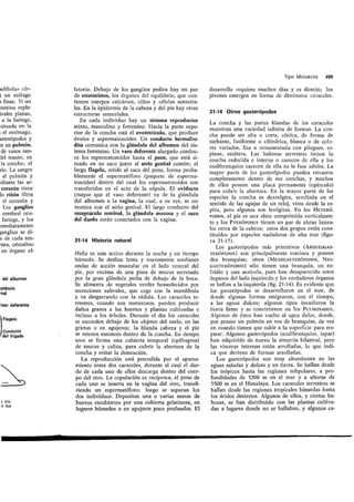 Tema 21