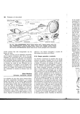 Tema 21