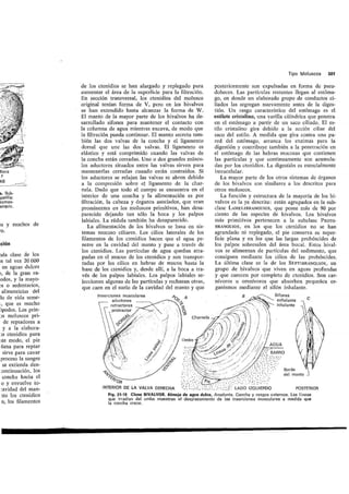 Tema 21