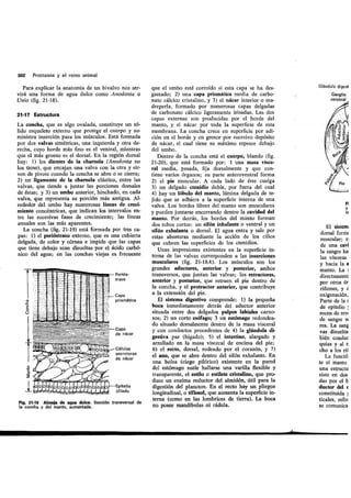 Tema 21