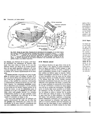 Tema 21