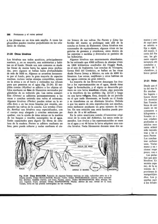 Tema 21