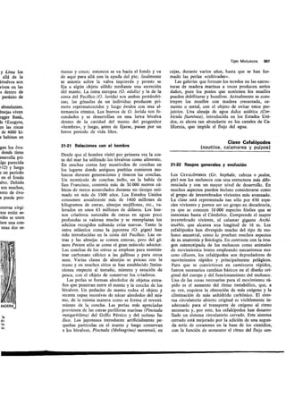 Tema 21