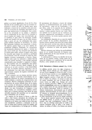 Tema 21