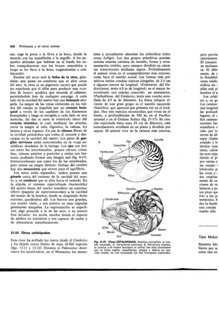 Tema 21