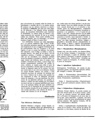 Tema 21