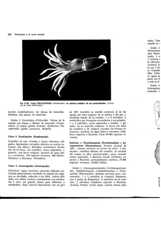 Tema 21