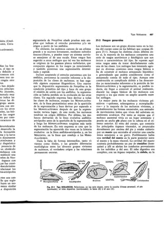 Tema 21