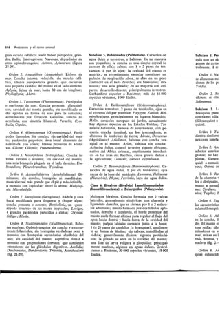 Tema 21