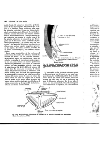 Tema 21