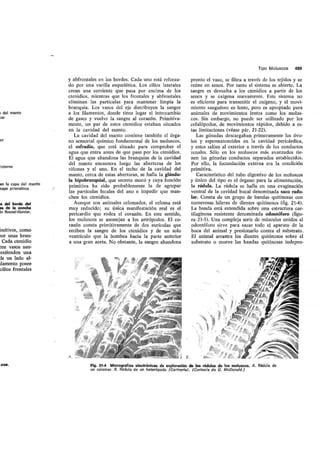 Tema 21
