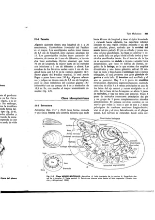 Tema 21
