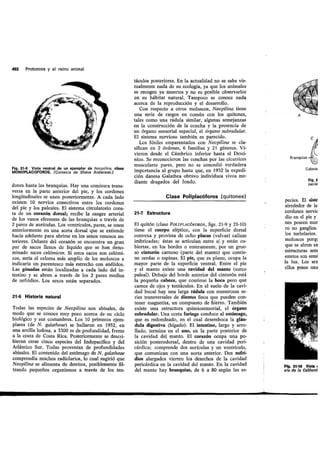 Tema 21