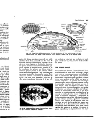 Tema 21