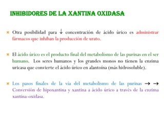  Otra posibilidad para  concentración de ácido úrico es administrar
fármacos que inhiban la producción de urato.
 El ácido úrico es el producto final del metabolismo de las purinas en el ser
humano. Los seres humanos y los grandes monos no tienen la enzima
uricasa que convierte el ácido úrico en alantoína (más hidrosoluble).
 Los pasos finales de la vía del metabolismo de las purinas  
Conversión de hipoxantina y xantina a ácido úrico a través de la enzima
xantina-oxidasa.
INHIBIDORES DE LA XANTINA OXIDASA
 