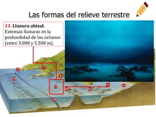 13. Llanura abisal.
Extensas llanuras en la
profundidad de los océanos
(entre 3.000 y 5.500 m).
Las formas del relieve terrestre
 