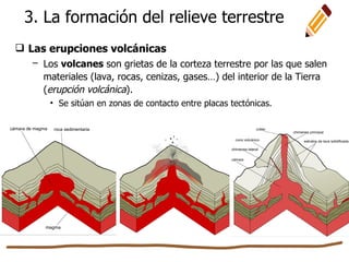  Las erupciones volcánicas
– Los volcanes son grietas de la corteza terrestre por las que salen
materiales (lava, rocas, cenizas, gases…) del interior de la Tierra
(erupción volcánica).
• Se sitúan en zonas de contacto entre placas tectónicas.
3. La formación del relieve terrestre
 