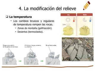 4. La modificación del relieve
 La temperatura
– Los cambios bruscos y regulares
de temperatura rompen las rocas.
• Zonas de montaña (gelifracción).
• Desiertos (termoclastia).
 