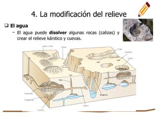  El agua
– El agua puede disolver algunas rocas (calizas) y
crear el relieve kárstico y cuevas.
4. La modificación del relieve
 
