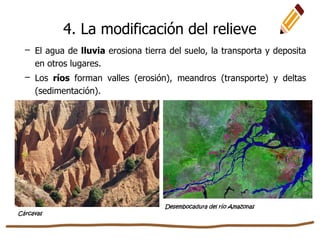– El agua de lluvia erosiona tierra del suelo, la transporta y deposita
en otros lugares.
– Los ríos forman valles (erosión), meandros (transporte) y deltas
(sedimentación).
Cárcavas
Desembocadura del río Amazonas
4. La modificación del relieve
 