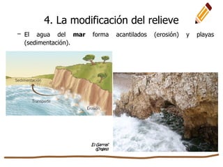 – El agua del mar forma acantilados (erosión) y playas
(sedimentación).
El Garraf
(Sitges)
4. La modificación del relieve
 