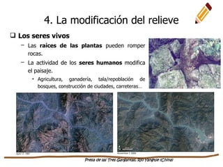  Los seres vivos
– Las raíces de las plantas pueden romper
rocas.
– La actividad de los seres humanos modifica
el paisaje.
• Agricultura, ganadería, tala/repoblación de
bosques, construcción de ciudades, carreteras…
Presa de las Tres Gargantas, Rio Yangtse (China)
4. La modificación del relieve
 