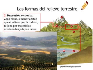 2. Depresión o cuenca.
Zona plana, a menor altitud
que el relieve que la rodean,
rellena por materiales
erosionados y depositados.
Depresión del Guadalquivir
Las formas del relieve terrestre
 