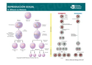 Comprehensive Overview of Sexual Reproduction: Meiosis and Genetic ...