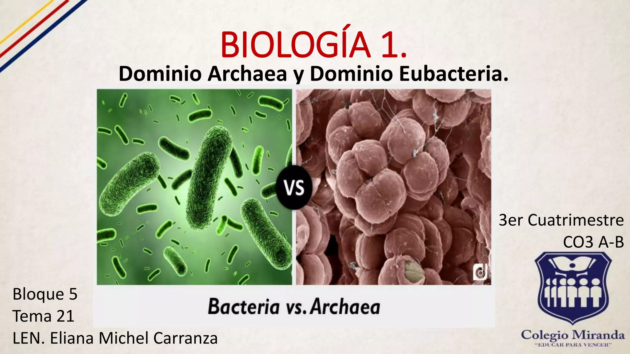 Dominio Archaea Y Dominio Eubacteria. | PPTX