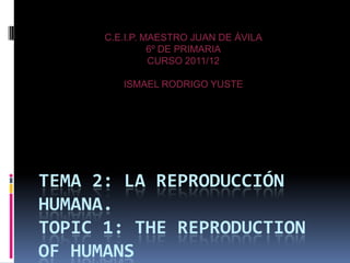 C.E.I.P. MAESTRO JUAN DE ÁVILA
                6º DE PRIMARIA
                CURSO 2011/12

         ISMAEL RODRIGO YUSTE




TEMA 2: LA REPRODUCCIÓN
HUMANA.
TOPIC 1: THE REPRODUCTION
OF HUMANS
 