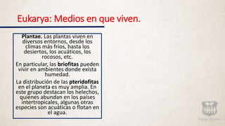 Dominio Eukarya. | PPTX