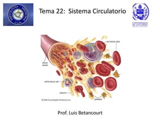 Tema 22: Sistema Circulatorio




      Prof. Luis Betancourt
 