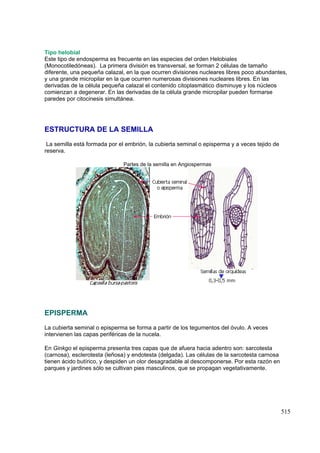 Tema24 -Embriogénesis. Anatomía de Semilla y Fruto. | PDF