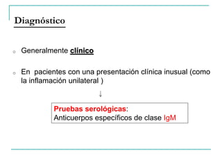 o Generalmente clínico
o En pacientes con una presentación clínica inusual (como
la inflamación unilateral )
Diagnóstico
Pruebas serológicas:
Anticuerpos específicos de clase IgM
 