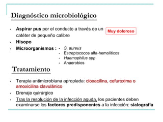 Diagnóstico microbiológico
• Aspirar pus por el conducto a través de un
catéter de pequeño calibre
• Hisopo
• Microorganismos :
• Terapia antimicrobiana apropiada: cloxacilina, cefuroxima o
amoxicilina clavulánico
• Drenaje quirúrgico
• Tras la resolución de la infección aguda, los pacientes deben
examinarse los factores predisponentes a la infección: sialografía
Tratamiento
Muy doloroso
- S. aureus
- Estreptococos alfa-hemolíticos
- Haemophilus spp
- Anaerobios
 