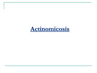 Actinomicosis
 