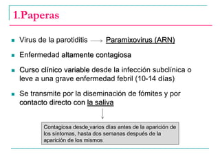  Virus de la parotiditis Paramixovirus (ARN)
 Enfermedad altamente contagiosa
 Curso clínico variable desde la infección subclínica o
leve a una grave enfermedad febril (10-14 días)
 Se transmite por la diseminación de fómites y por
contacto directo con la saliva
1.Paperas
Contagiosa desde varios días antes de la aparición de
los síntomas, hasta dos semanas después de la
aparición de los mismos
 
