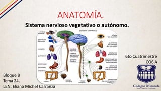 ANATOMÍA.
Sistema nervioso vegetativo o autónomo.
Bloque 8
Tema 24.
LEN. Eliana Michel Carranza
6to Cuatrimestre
CO6 A
 