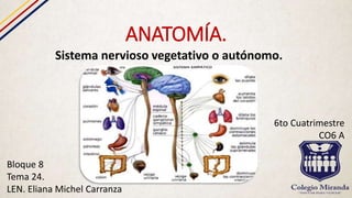 ANATOMÍA.
Sistema nervioso vegetativo o autónomo.
Bloque 8
Tema 24.
LEN. Eliana Michel Carranza
6to Cuatrimestre
CO6 A
 