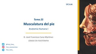 Musculatura del pie
Tema 25
D. José Francisco Cano Martínez
GRADO EN FISIOTERAPIA
Anatomía Humana I
@Fran_Cano_
Fran_Cano_
Fran_canomartinez
 