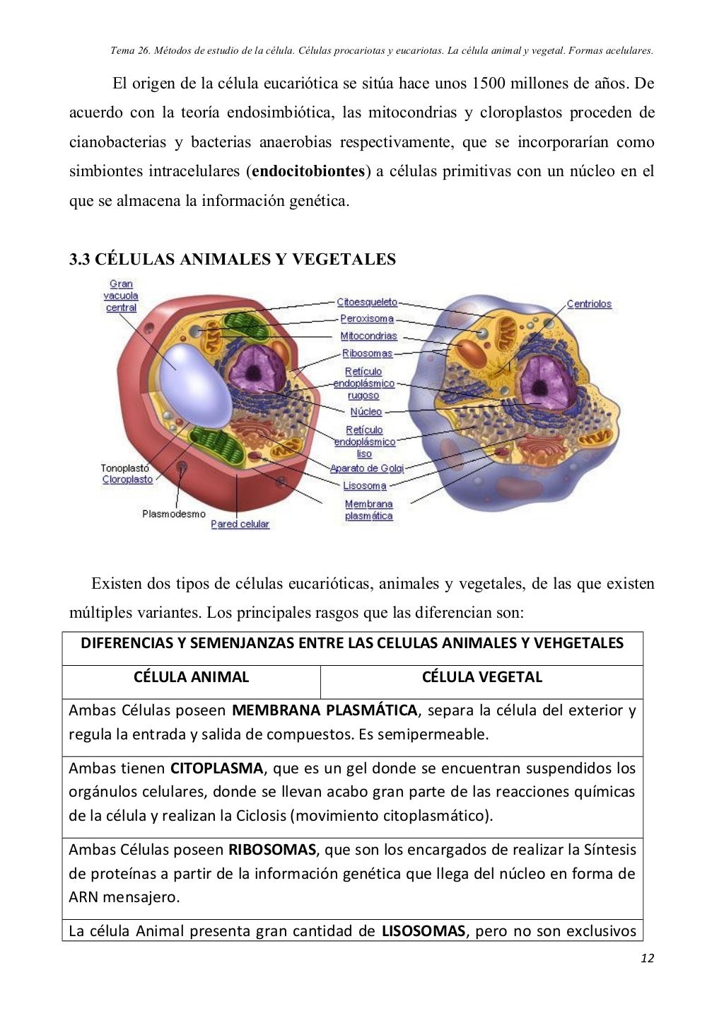 Tema 26.métodos de estudio de la célula Tema 26.métodos de estudio de la célula