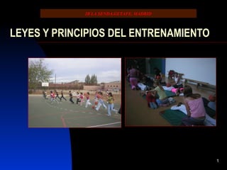 1
LEYES Y PRINCIPIOS DEL ENTRENAMIENTO
IB LA SENDA.GETAFE. MADRID
 