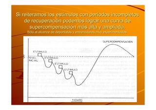 Tema 2 A.F. AdaptacióN
