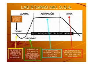 Tema 2 A.F. AdaptacióN