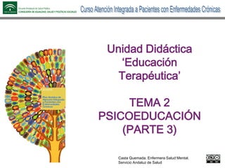 Nombre de la
presentación
Contribuyentes y organizaciones
Unidad Didáctica
‘Educación
Terapéutica’
TEMA 2
PSICOEDUCACIÓN
(PARTE 3)
Casta Quemada. Enfermera Salud Mental.
Servicio Andaluz de Salud
 