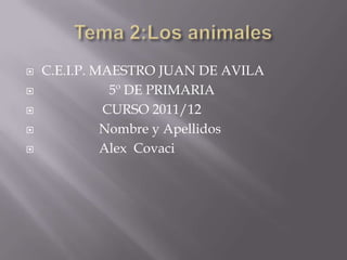    C.E.I.P. MAESTRO JUAN DE AVILA
              5º DE PRIMARIA
             CURSO 2011/12
             Nombre y Apellidos
             Alex Covaci
 